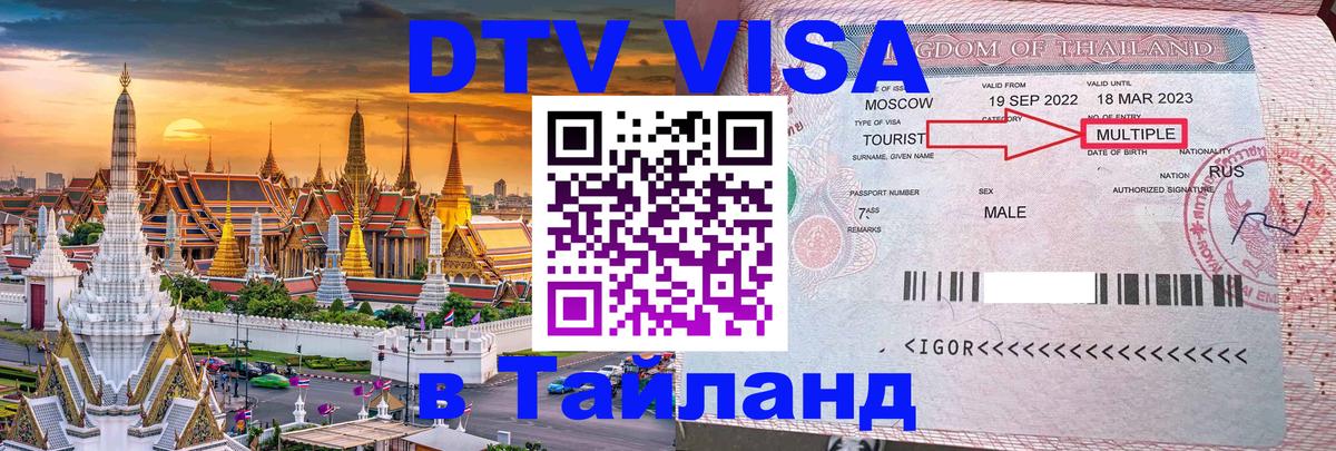 Оформление DTV визы под ключ: стоимость и тарифы, только загранпаспорт - 